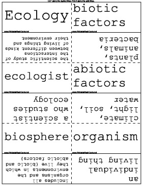 Ecology template