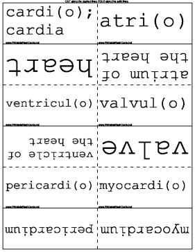 Medical Prefixes and Suffixes template