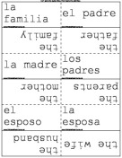 Spanish Family Terms