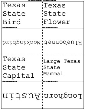 All About Texas template