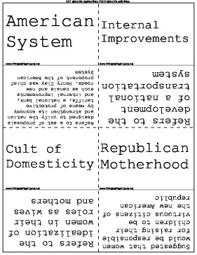 American Social Politics template