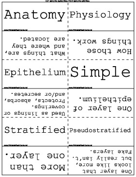 Anatomy Terminology template