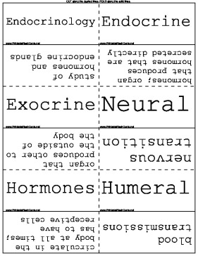 Animal Endocrinology template