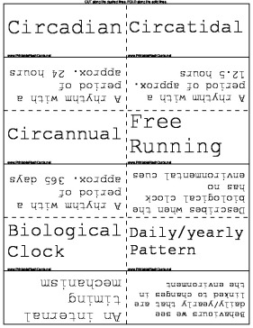 Biological Rhythms template