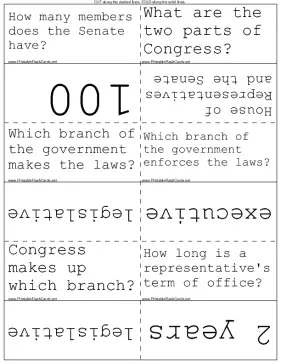 Branches of U.S. Government template