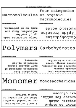 Cellular Biology template