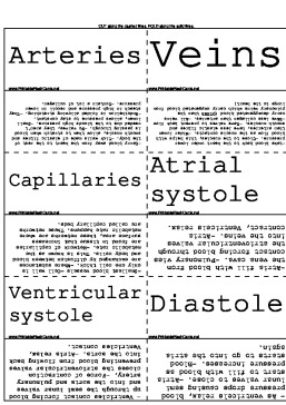 Circulation template