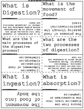 Digestion template
