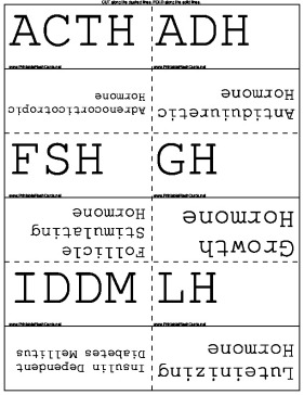 Endocrine System Vocabulary template