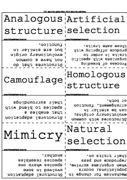 Evolution and Adaptation template