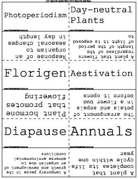 Flower Biology template