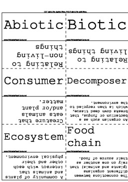 Geography Ecosystems template