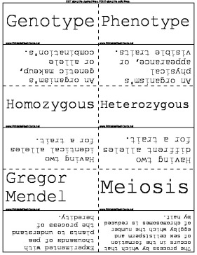 Heredity Terms template