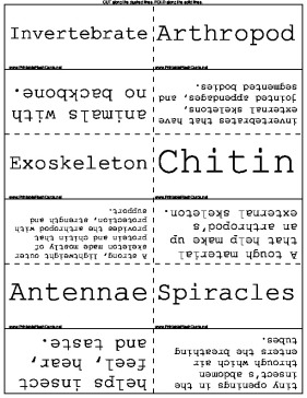 Insect Biology template