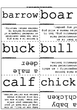 Livestock_Terms template