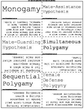 Mating Habits template