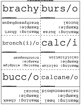 Medical Prefixes, B through I template