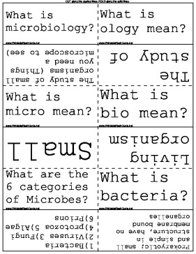 Microbiology template