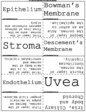 Optometry template