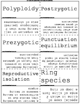 Organism Evolution template