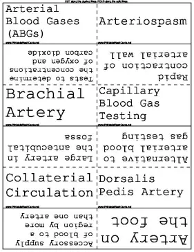 Phlebotomy template