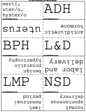 Reproductive Medical Terms template