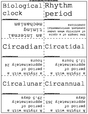 Rhythms template