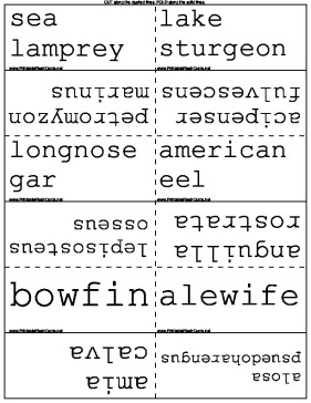 Scientific Fish Names template
