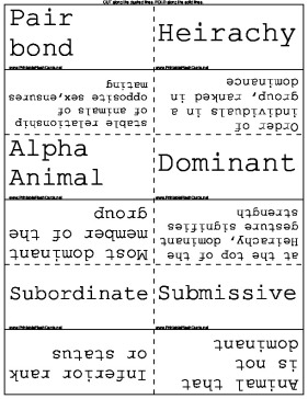 Social Hierarchy template