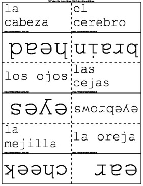 Spanish Body Parts and Illnesses template