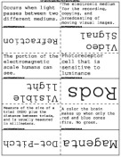 Projection Theory template